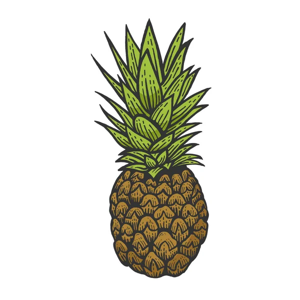 Ananas egzotyczne owoce kolor szkic Grawerowanie wektor ilustracji. Imitacja stylu deski. Czarno-biały rysunek ręcznie rysowane. — Wektor stockowy