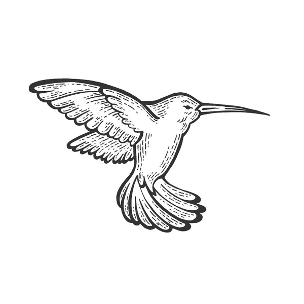 Humming Bird dierlijke schets gravure vector illustratie. Imitatie van Scratch board stijl. Hand getekende afbeelding. — Stockvector