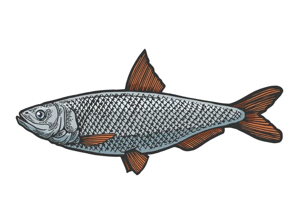 Hering Clupea Fisch Nahrung Tier Farbskizze Gravur Vektor Illustration. Scratch-Board-Imitat. Handgezeichnetes Schwarz-Weiß-Bild. — Stockvektor