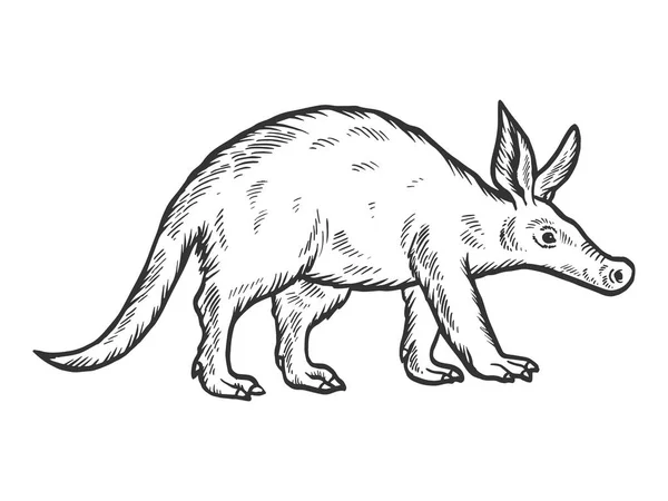 Aardvark тваринний ескіз гравіювання Векторні ілюстрації. Імітація стилю подряпини дошки. Мальоване зображення вручну . — стоковий вектор