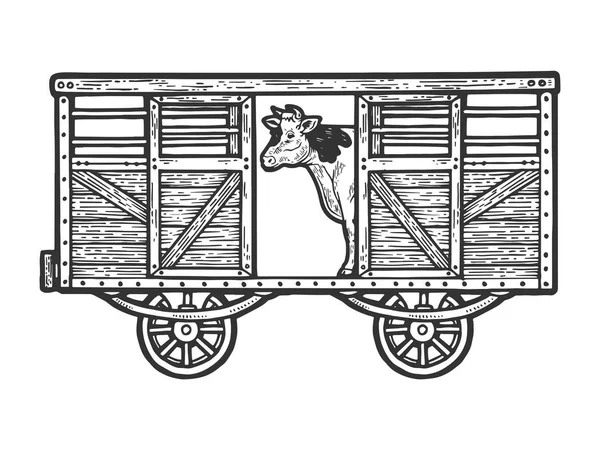 Vaca en vagón de ferrocarril ilustración del vector de grabado de bosquejo de vagón de tren. Scratch board estilo imitación. Imagen dibujada a mano . — Vector de stock