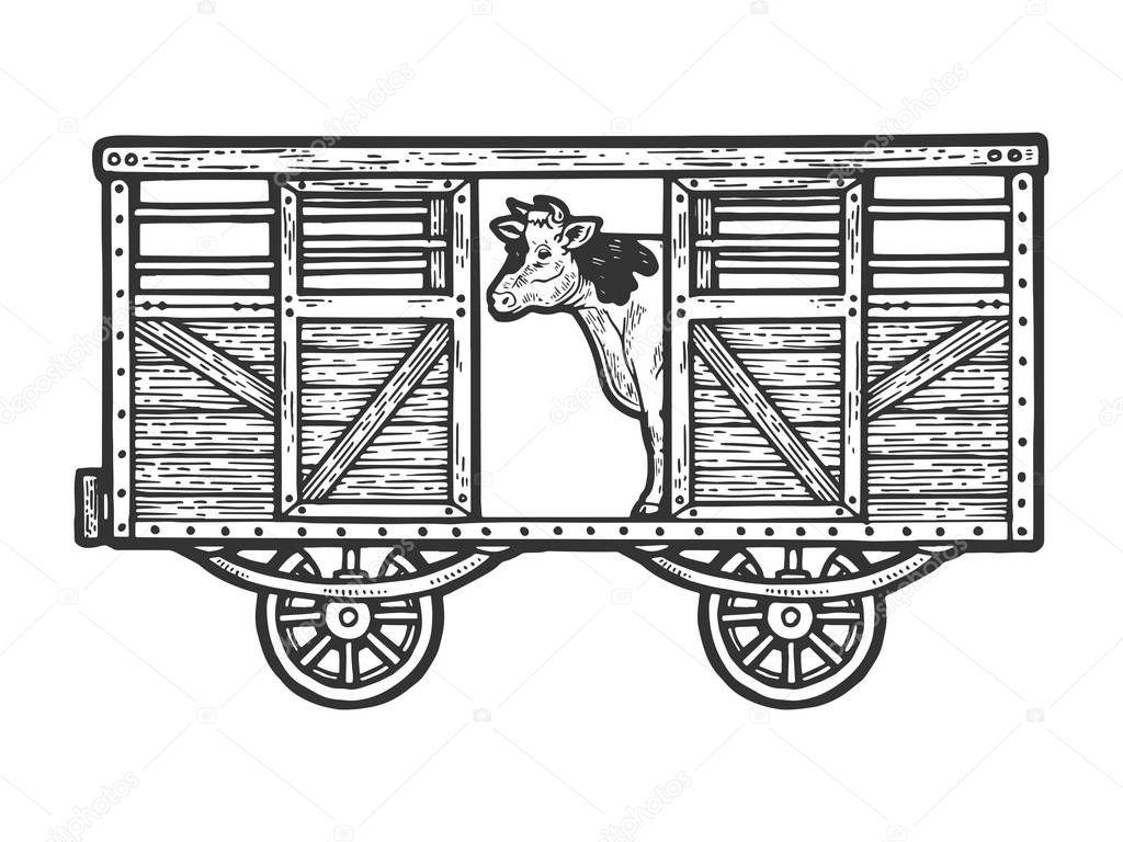 Cow in railway carriage train wagon sketch engraving vector illustration. Scratch board style imitation. Hand drawn image.