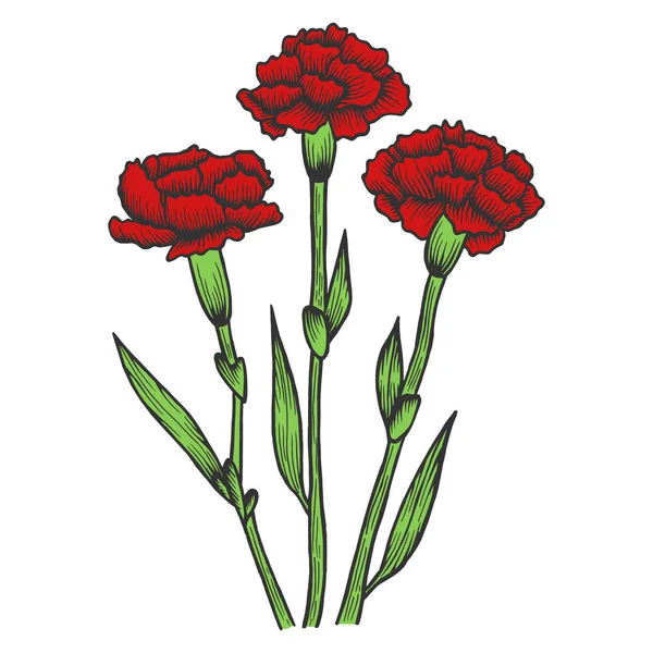 Ντιάνθους γαρίφαλο λουλούδια χρώμα σκίτσο απεικόνιση φορέα χάραξης. Απομίμηση τύπου ξυστό. Χειροποίητη Εικόνα. — Διανυσματικό Αρχείο