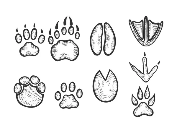 Rastreamentos animais esboço gravura vetor ilustração. Imitação de estilo Scratch board. Imagem desenhada à mão preto e branco . —  Vetores de Stock