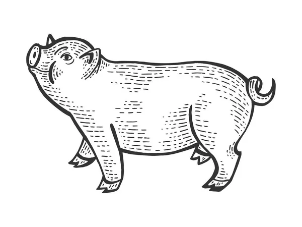 Esquisse d'animal cochon gravure vectorielle illustration. Imitation de style scratch board. Image dessinée à la main noir et blanc . — Image vectorielle