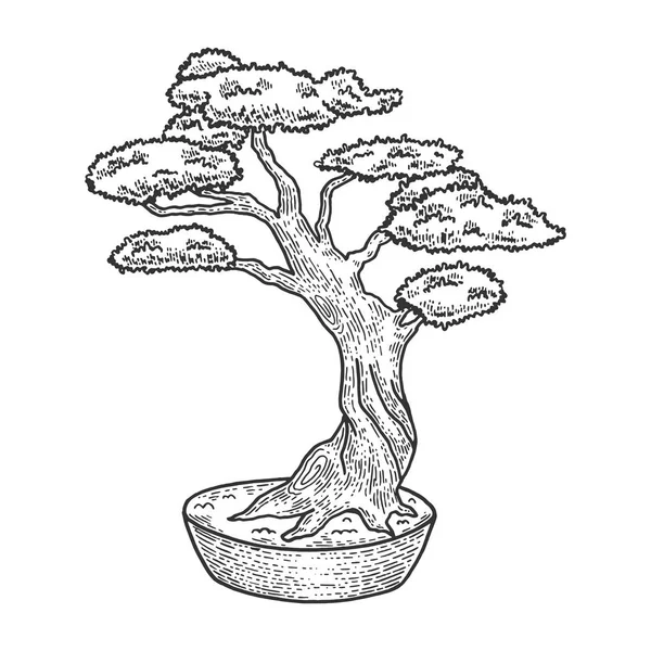 Illustration vectorielle de croquis d'arbre japonais Bonsai. Imitation de style scratch board. Image dessinée à la main . — Image vectorielle