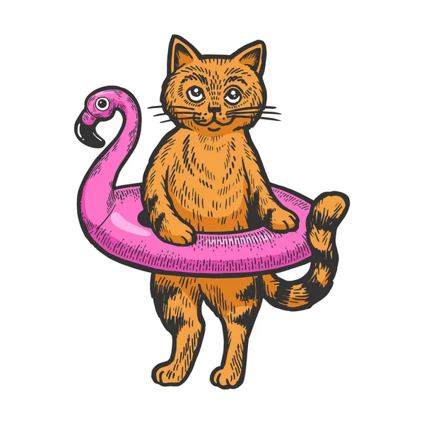 Gato en anillo de goma para nadar ilustración vectorial boceto color grabado. Scratch board estilo imitación. Imagen dibujada a mano en blanco y negro . — Vector de stock