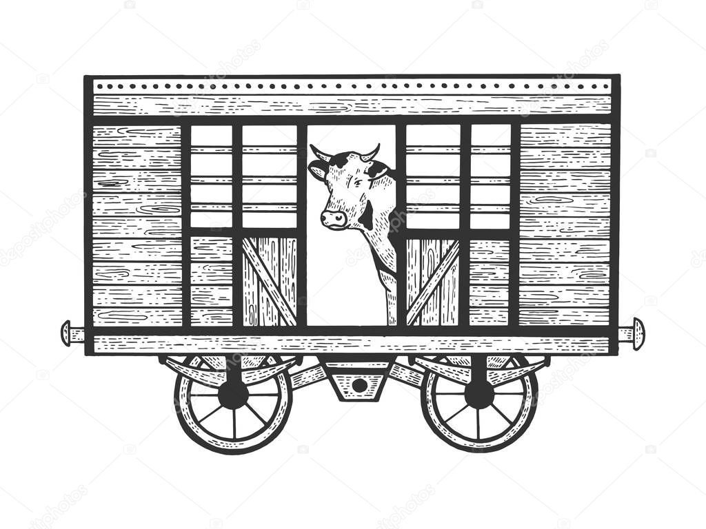 Cow in railway carriage train wagon sketch engraving vector illustration. Scratch board style imitation. Hand drawn image.