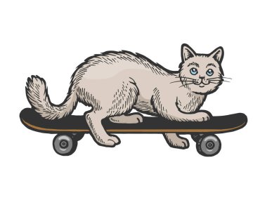 Kaykay renkli çizim oyma vektör illüstrasyon üzerinde Yerli kedi evcil binmek. Scratch tahta tarzı taklit. Siyah beyaz elle çizilmiş görüntü.