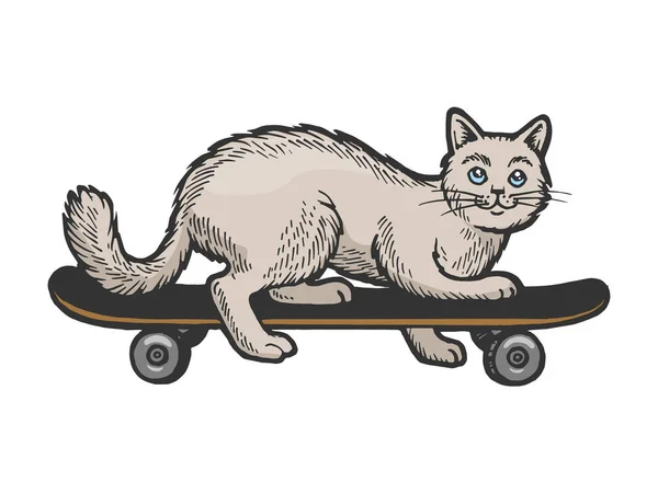 Paseo doméstico gato mascota en skateboard color bosquejo grabado vector ilustración. Scratch board estilo imitación. Imagen dibujada a mano en blanco y negro . — Vector de stock