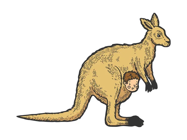 Kangoeroe met menselijke baby in Kangaroo Pouch kleur schets gravure vector illustratie. Imitatie van Scratch board stijl. Zwart-wit hand getekende afbeelding. — Stockvector