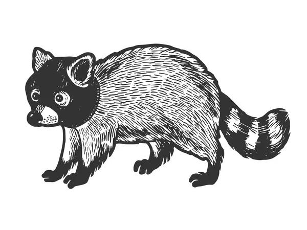 Raccoon i hatt Balaclava skiss gravyr vektor illustration. Scratch Board stil imitation. Svart och vit handritad bild. — Stock vektor