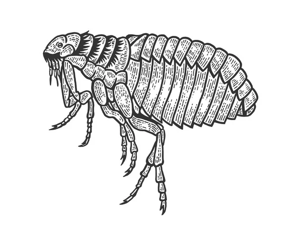 Flea louse insect sketch engraving vector illustration. Scratch board style imitation. Black and white hand drawn image. — Stock Vector