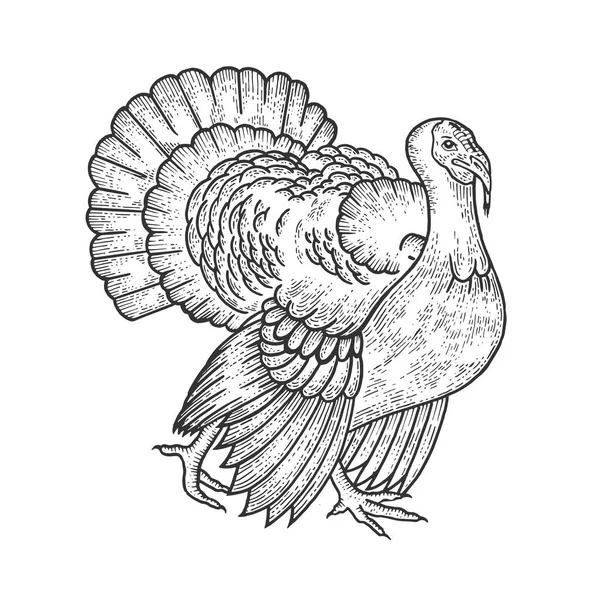 Turkije vogel schets gravure vector illustratie. Imitatie van Scratch board stijl. Hand getekende afbeelding. — Stockvector
