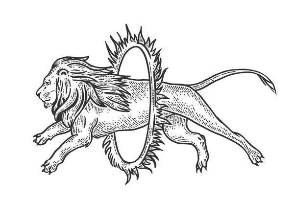 León de circo salta en el anillo de ilustración de vectores de grabado de bocetos de fuego. Camiseta ropa diseño de impresión. Scratch board estilo imitación. Imagen dibujada a mano en blanco y negro . — Archivo Imágenes Vectoriales