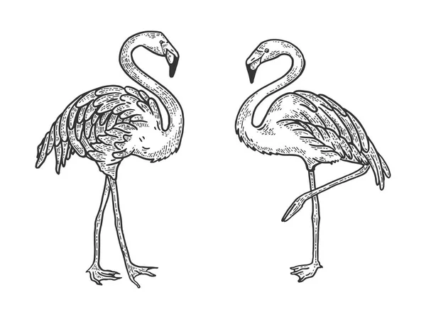 Illustration vectorielle de gravure d'oiseau Flamingo. Tee shirt habillement imprimé design. Imitation de style scratch board. Image dessinée à la main noir et blanc . — Image vectorielle