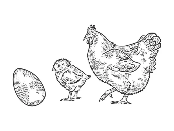 Huevo de pollo y gallina boceto grabado vector ilustración. Camiseta ropa diseño de impresión. Scratch board estilo imitación. Imagen dibujada a mano en blanco y negro . — Archivo Imágenes Vectoriales