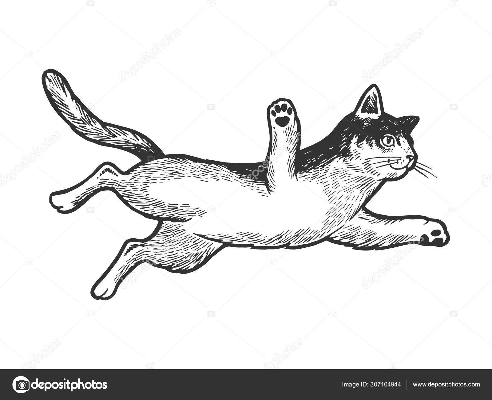 Kitten Pouncing Drawing