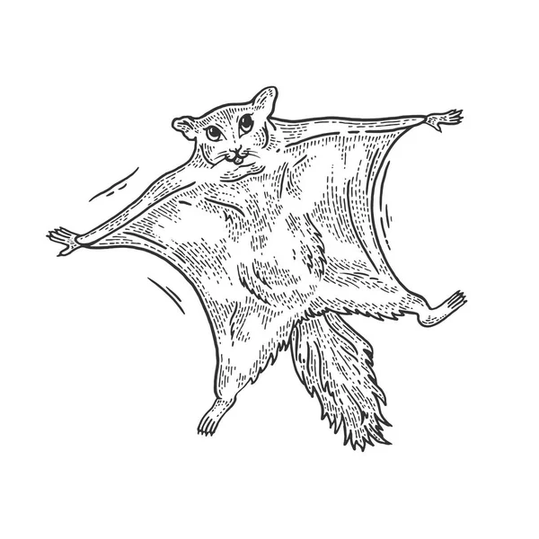 Літаюча білка тваринний ескіз гравіювання Векторні ілюстрації. Трійник сорочки дизайн одягу друку. Імітація стилю подряпини дошки. Чорно-біле намальоване зображення руки . — стоковий вектор
