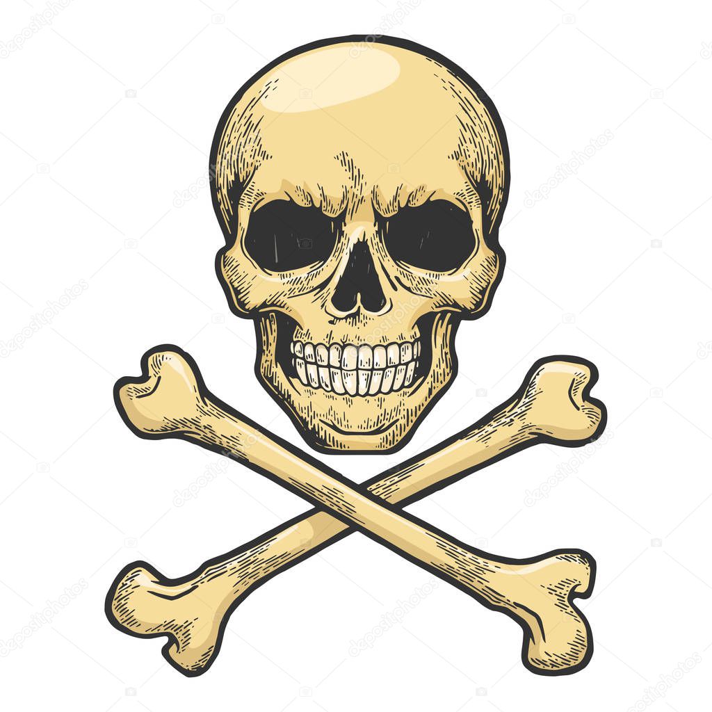 Skull with crossed bones. Pirate symbol Jolly Roger sketch engraving vector illustration. Tee shirt apparel print design. Scratch board style imitation. Hand drawn image.