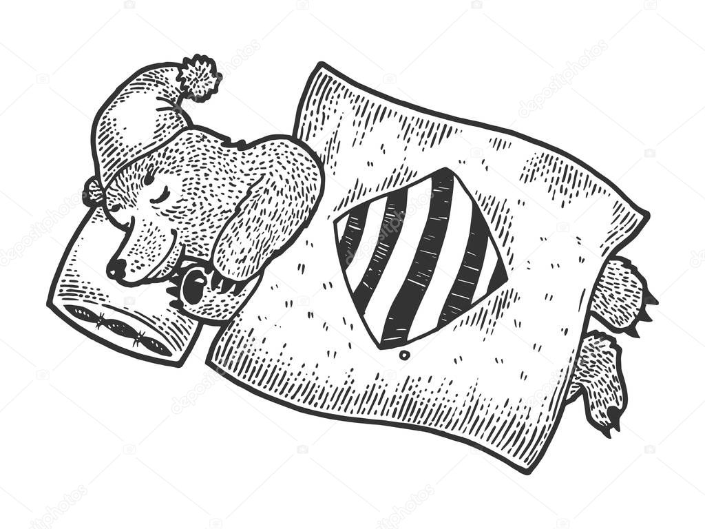 Cartoon funny sleeping bear sketch engraving vector illustration. Tee shirt apparel print design. Scratch board style imitation. Black and white hand drawn image.