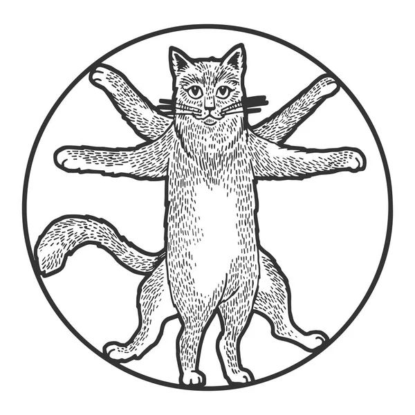 Витрувианский эскиз кошки гравировка векторная иллюстрация. Дизайн рубашки с принтом. Имитация в стиле Scratch board. Черно-белое изображение . — стоковый вектор