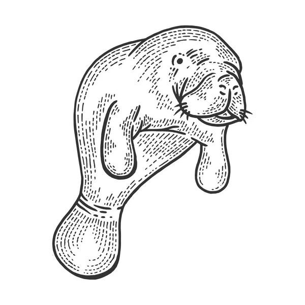 Manatee água animal esboço gravura vetor ilustração. Imitação de estilo Scratch board. Imagem desenhada à mão . — Vetor de Stock