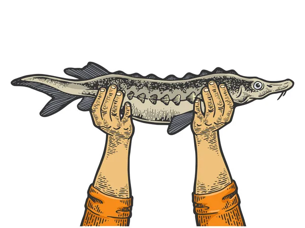 チョウザメの魚彫刻ベクトルイラストで手。Tシャツアパレルプリントデザイン。スクラッチボードスタイルの模倣。白黒の手描きのイメージ. — ストックベクタ