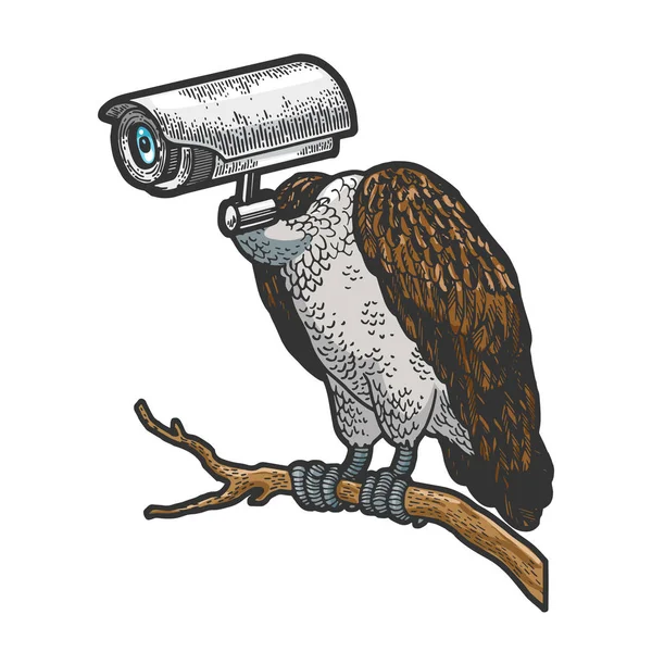 Griffin Sęp ptak z monitoringu kamery CCTV głowicy Grawerowanie ilustracji wektorowych. Tee shirt odzież projekt druku. Imitacja stylu deski. Ręcznie rysowany obraz. — Wektor stockowy