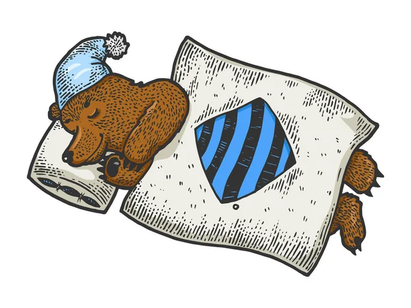 Мультфильм смешной набросок спящего медведя гравировка векторная иллюстрация. Дизайн рубашки с принтом. Имитация в стиле Scratch board. Черно-белое изображение . — стоковый вектор