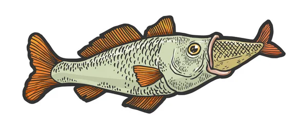 Fische fressen Schwalben verschluckt eine weitere kleinere Fischskizze Graviervektorillustration. Scratch-Board-Imitat. Handgezeichnetes Schwarz-Weiß-Bild. — Stockvektor