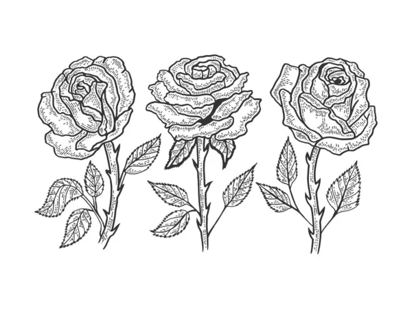 Gül çiçeği çizimi, kabartma vektör çizimi. Tişört giysisi baskısı tasarımı. Tahta sitili taklit. Siyah beyaz el çizimi resim. — Stok Vektör