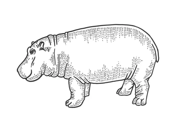 Иллюстрация вектора гравюры гиппопотама с животными. Дизайн одежды для футболок. Имитация в стиле Scratch board. Черно-белое изображение . — стоковый вектор