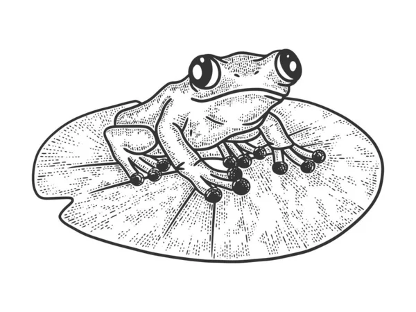Frosch auf einem Blatt einer Seerose Skizze Graviervektorillustration. T-Shirt-Print-Design. Rubbelbrett-Imitat. Handgezeichnetes Schwarz-Weiß-Bild. — Stockvektor