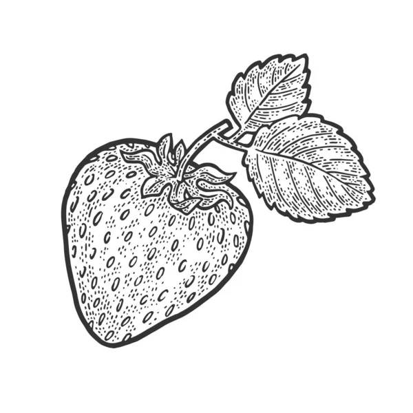 Fresa fruta boceto grabado vector ilustración. Diseño de estampado de ropa de camiseta. Scratch board imitación. Imagen dibujada a mano en blanco y negro . — Archivo Imágenes Vectoriales