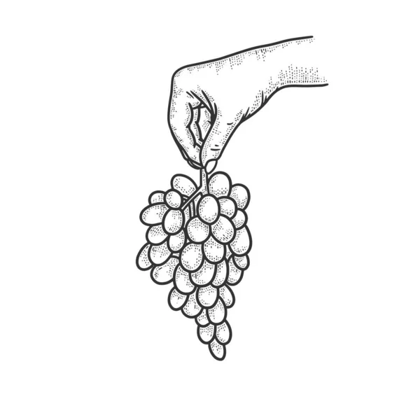 Weintrauben in der Hand skizzieren Gravurvektorillustration. T-Shirt-Print-Design. Rubbelbrett-Imitat. Handgezeichnetes Schwarz-Weiß-Bild. — Stockvektor