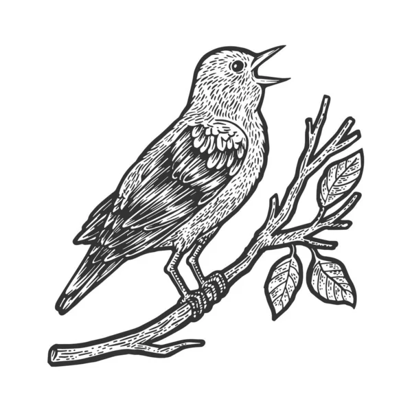 Солов'яний птах ескіз гравіювання Векторні ілюстрації. Дизайн футболки для друку. Імітація дошки подряпин. Чорно-біле намальоване зображення руки . — стоковий вектор