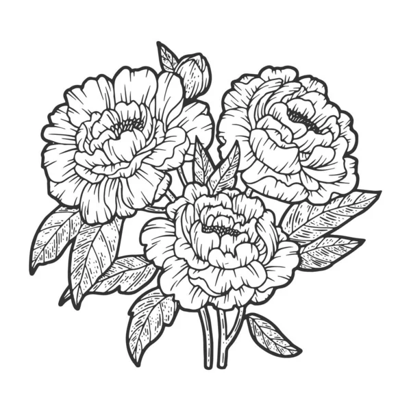 Pion blomma skiss gravyr vektor illustration. T-shirt kläder tryck design. Skrapbrädesimitation. Svart och vit handritad bild. — Stock vektor