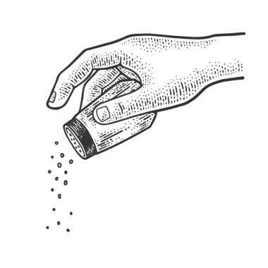 El çiziminde tuzluk ve biber karıştırıcı kabartma vektör çizimi. Tişört giysisi baskısı tasarımı. Çizik tahtası taklidi. Siyah beyaz el çizimi resim.