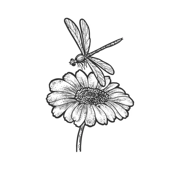 Libellule sur fleur de marguerite croquis gravure vectorielle illustration. T-shirt imprimé design. Imitation de carte à gratter. Image dessinée à la main noir et blanc. — Image vectorielle