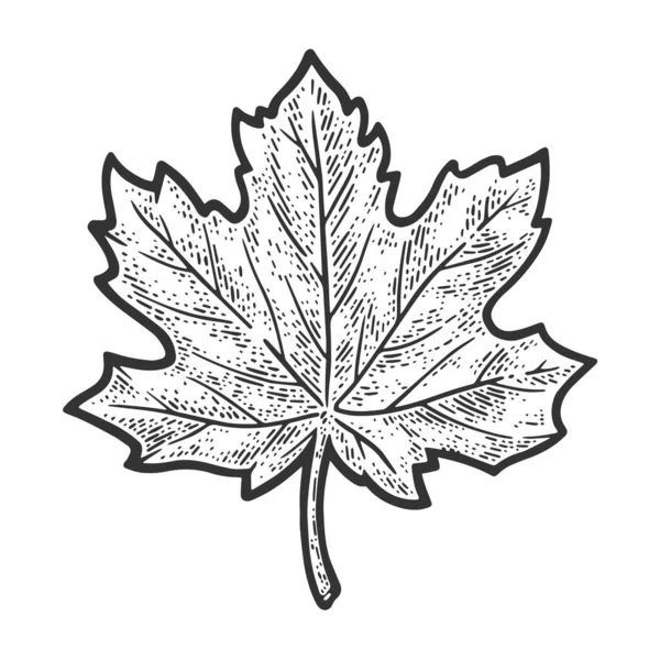 Maple Leaf 스케치 페인팅 벡터 일러스트. 티셔츠 의류인 쇄 디자인. 스크래치 보드 모방. 손으로 그린 흑백 그림. — 스톡 벡터