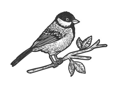 titmouse great tit bird on tree branch sketch engraving vector illustration. T-shirt apparel print design. Scratch board imitation. Black and white hand drawn image.