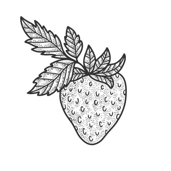 Illustration vectorielle de gravure de croquis de fruits de fraise. T-shirt imprimé design. Imitation de carte à gratter. Image dessinée à la main noir et blanc. — Image vectorielle