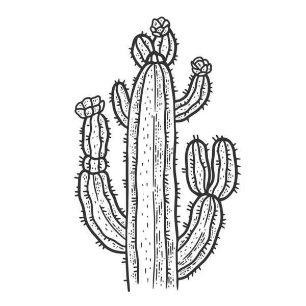 Croquis végétal cactus gravure vectorielle illustration. T-shirt imprimé design. Imitation de carte à gratter. Image dessinée à la main noir et blanc. — Image vectorielle