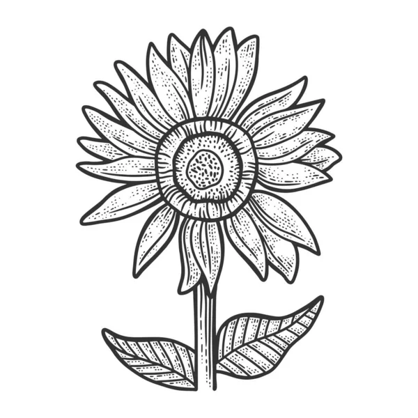 Sonnenblumen-Skizze Gravurvektorillustration. T-Shirt-Print-Design. Rubbelbrett-Imitat. Handgezeichnetes Schwarz-Weiß-Bild. — Stockvektor