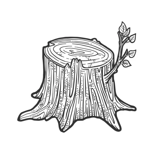 Träd stubbe med groddar skiss gravyr vektor illustration. T-shirt kläder tryck design. Skrapbrädesimitation. Svart och vit handritad bild. — Stock vektor