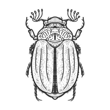 Chafer, Melolontha 'nın robot resmini çizebilir. Tişört giysisi baskısı tasarımı. Çizik tahtası taklidi. Siyah beyaz el çizimi resim.