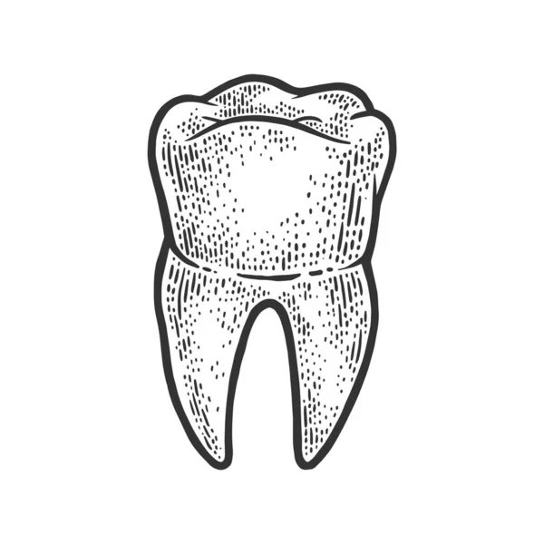Lidský náčrt zubu rytý vektorovou ilustrací. Design trička s potiskem. Stírací deska imitace. Černobílý ručně kreslený obrázek. — Stockový vektor