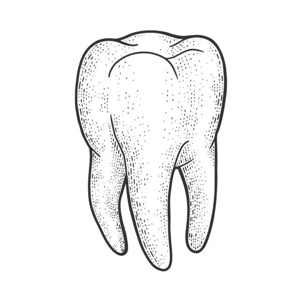 Desenho do dente humano gravura vetor ilustração. T-shirt design de impressão de vestuário. Imitação de raspadinha. Imagem desenhada à mão preto e branco . — Vetor de Stock