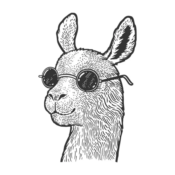 Lama in zonnebril schets graveren vector illustratie. T-shirt kleding print ontwerp. Krasplank imitatie. Zwart en wit met de hand getekend afbeelding. — Stockvector